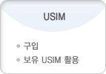 USIM : 구입, 보유 USIM 활용