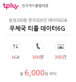 우체국 티플 데이터6G