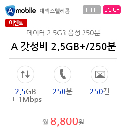 A 갓성비 2.5GB+/250분