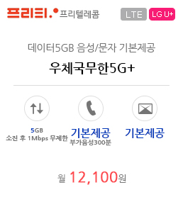 우체국무한5G+
